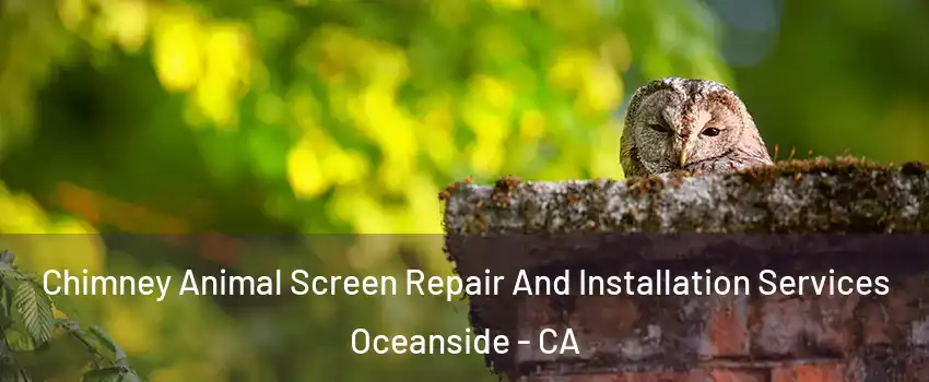 Chimney Animal Screen Repair And Installation Services Oceanside - CA