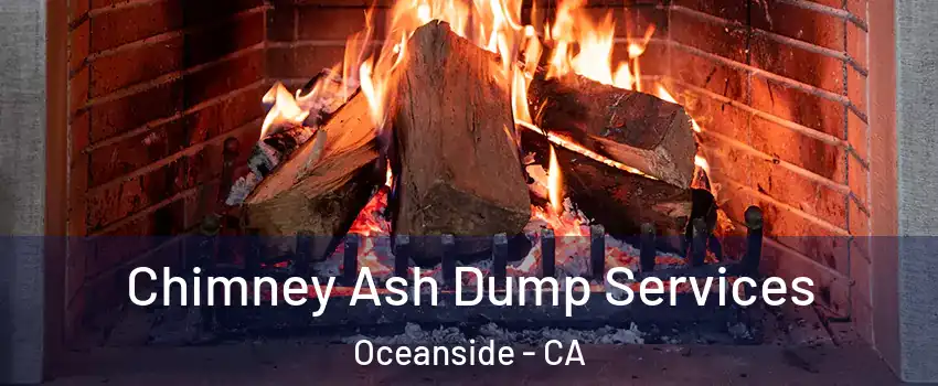 Chimney Ash Dump Services Oceanside - CA