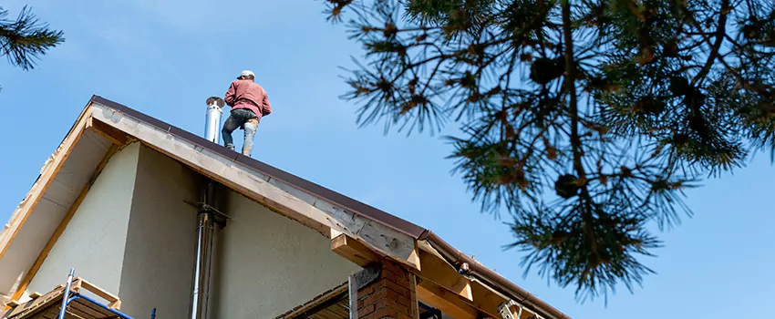 Birds Removal Contractors from Chimney in Oceanside, CA