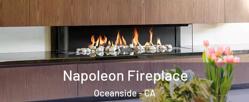 Napoleon Fireplace Oceanside - CA